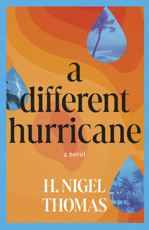 Book cover of A Different Hurricane