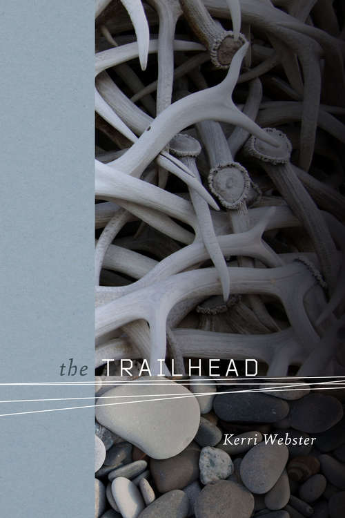 Book cover of The Trailhead (Wesleyan Poetry Series)