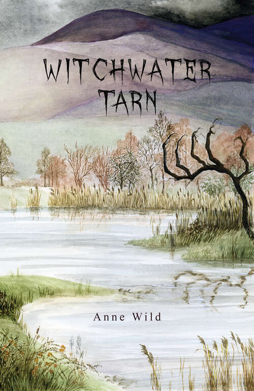 Book cover of Witchwater Tarn