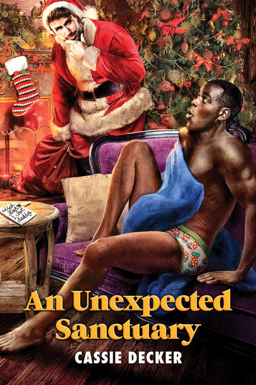 Book cover of An Unexpected Sanctuary (2017 Advent Calendar - Stocking Stuffers)