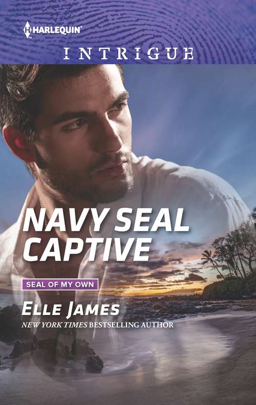 Book cover of Navy SEAL Captive