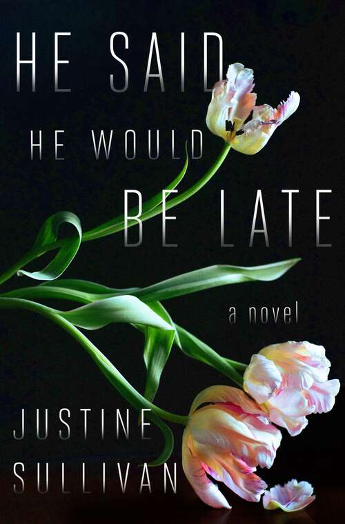 Book cover of He Said He Would Be Late