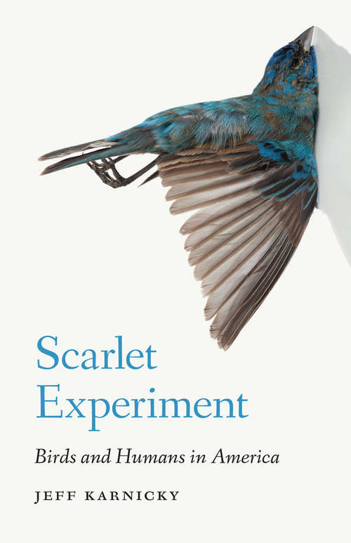 Book cover of Scarlet Experiment: Birds and Humans in America