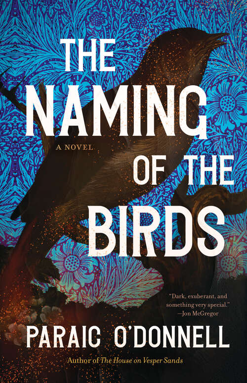 Book cover of The Naming of the Birds