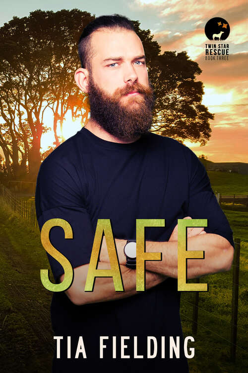 Book cover of Safe