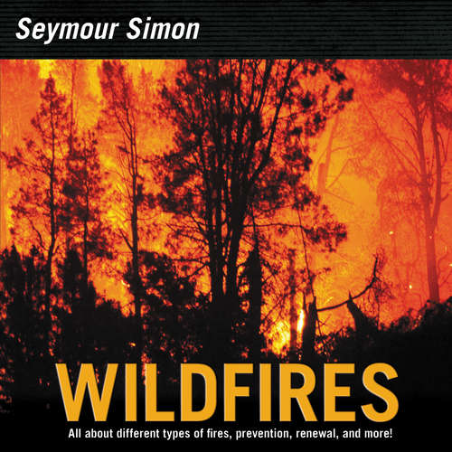 Book cover of Wildfires
