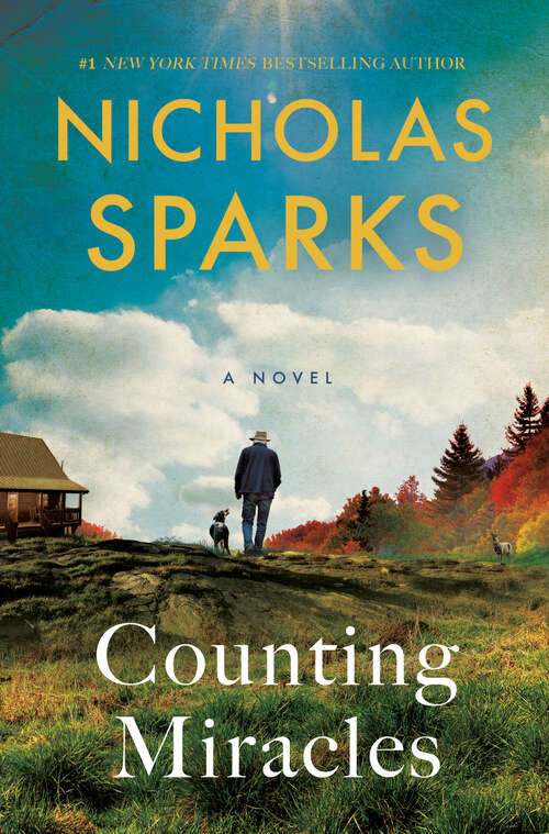 Book cover of Counting Miracles: A Novel