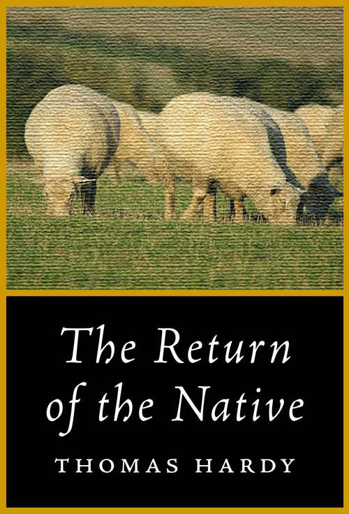 Book cover of The Return of the Native