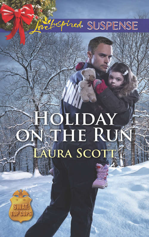 Book cover of Holiday on the Run