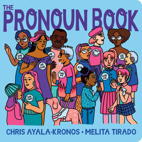 Book cover of The Pronoun Book