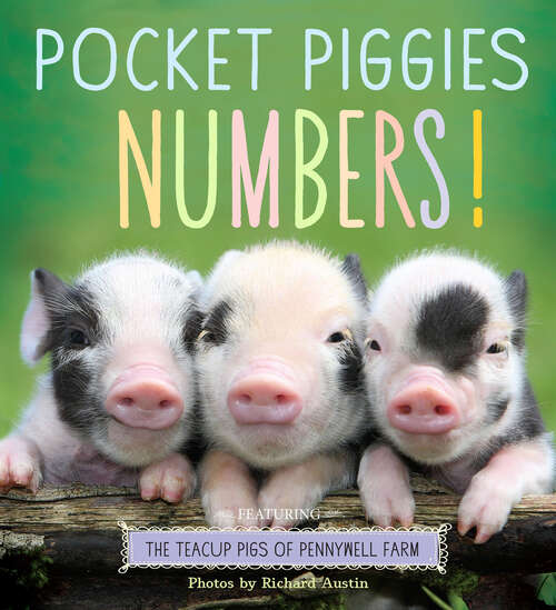 Book cover of Pocket Piggies Numbers!: Featuring the Teacup Pigs of Pennywell Farm
