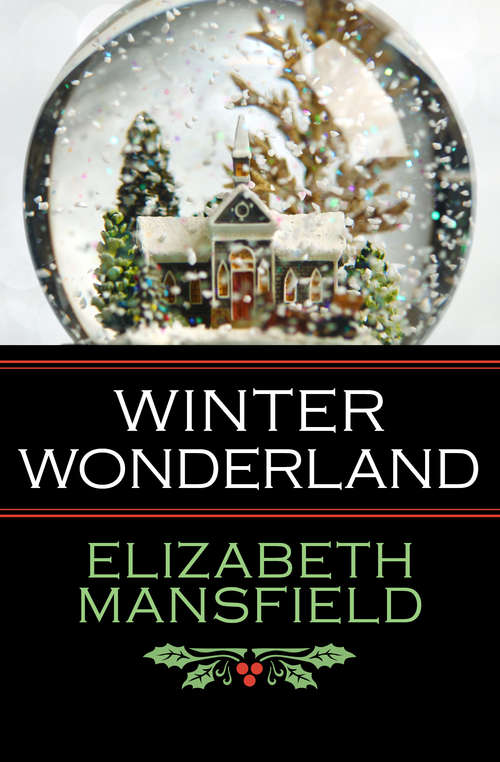 Book cover of Winter Wonderland