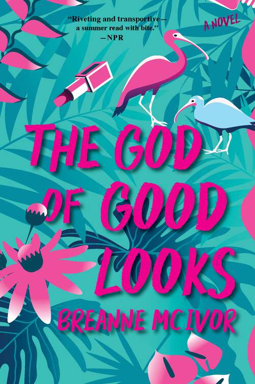 Book cover of The God of Good Looks: A Novel