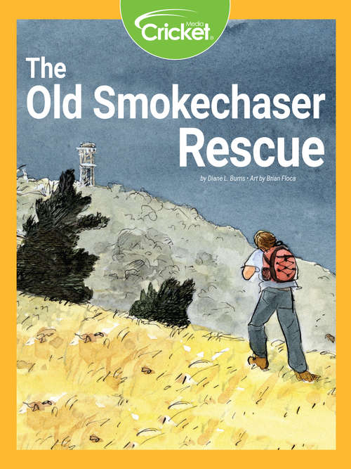Book cover of The Old Smokechaser Rescue