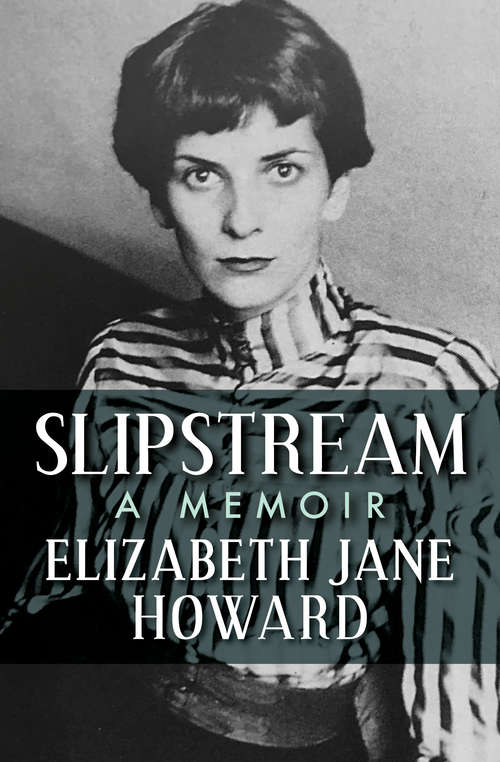 Book cover of Slipstream: A Memoir