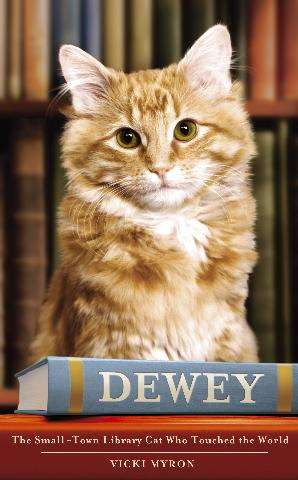 Book cover of Dewey: The small-town library-cat who touched the world