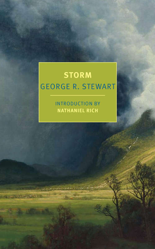 Book cover of Storm