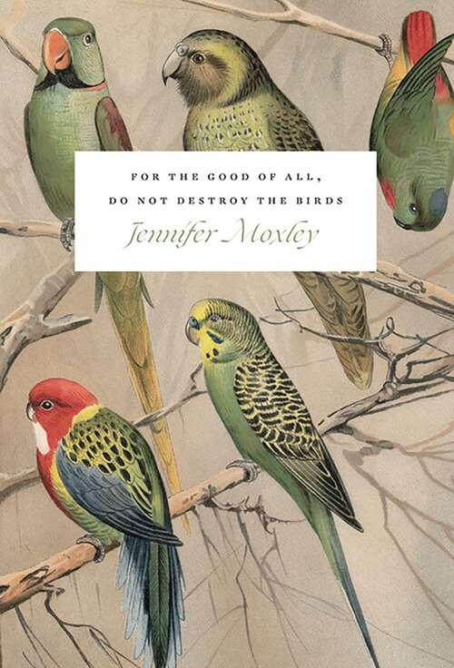 Book cover of For the Good of All, Do Not Destroy the Birds: Essays