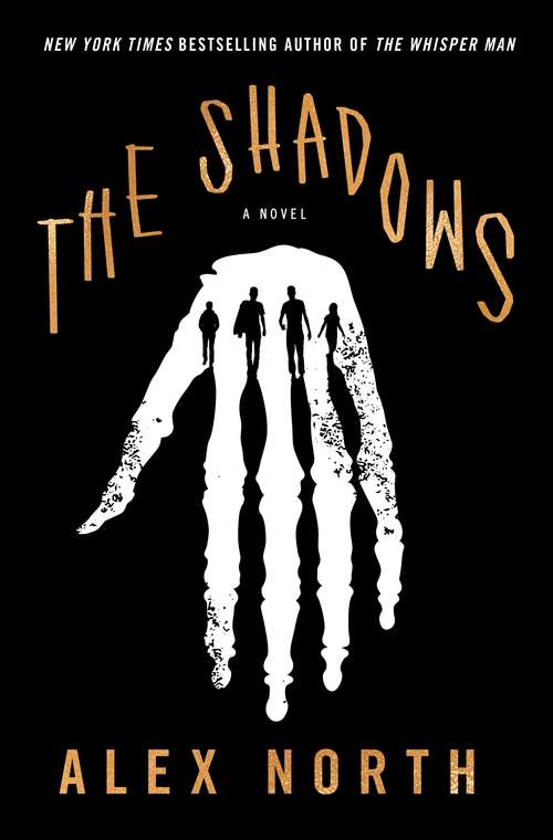 Book cover of The Shadows: A Novel