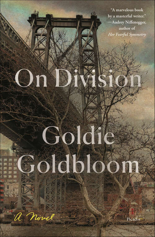 Book cover of On Division: A Novel