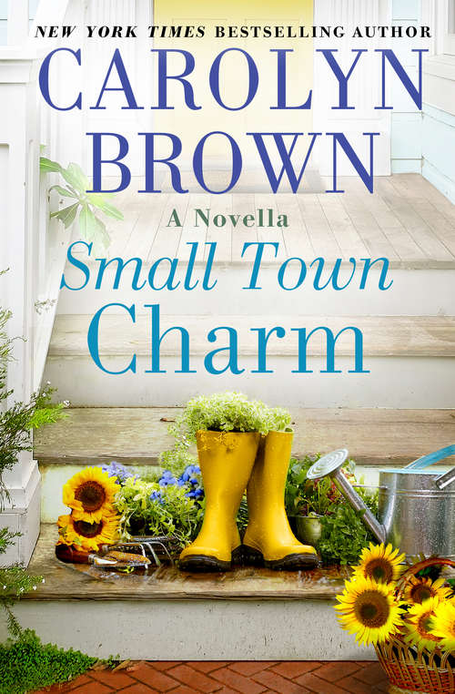 Book cover of Small Town Charm