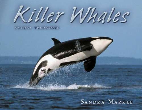 Book cover of Killer Whales: Animal Predators