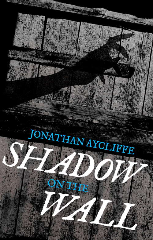 Book cover of Shadow On The Wall: A Novel