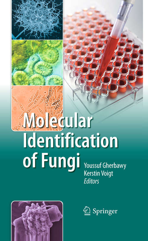 Book cover of Molecular Identification of Fungi