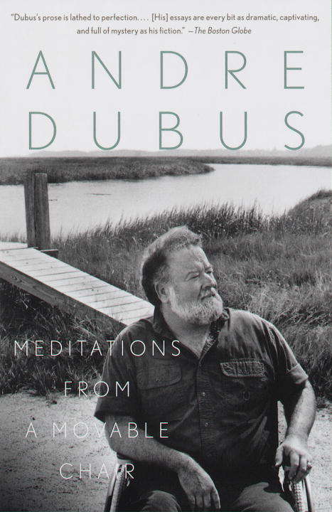 Book cover of Meditations from a Movable Chair
