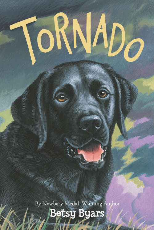 Book cover of Tornado