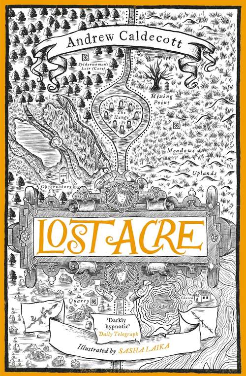Book cover of Lost Acre: Rotherweird Book III