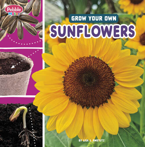 Book cover of Grow Your Own Sunflowers