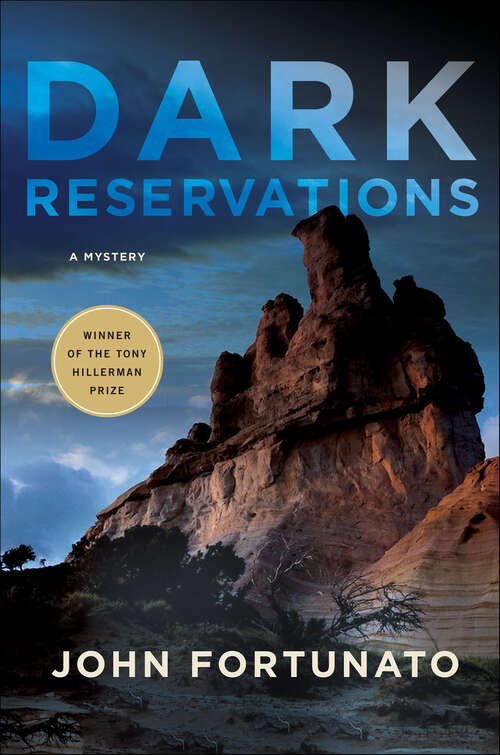 Book cover of Dark Reservations: A Mystery