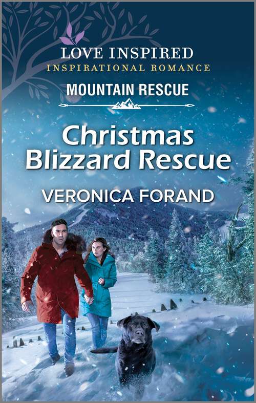 Book cover of Christmas Blizzard Rescue (Original)