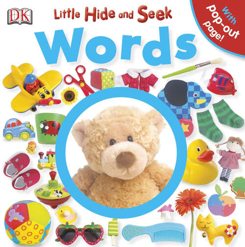 Book cover of Little Hide and Seek: Words (Little Hide and Seek)
