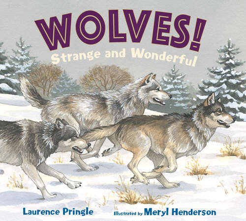 Book cover of WOLVES! Strange and Wonderful (Strange and Wonderful)