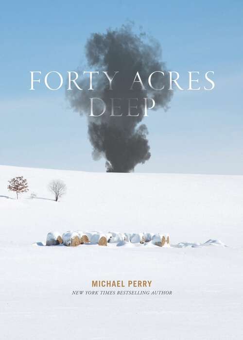 Book cover of Forty Acres Deep