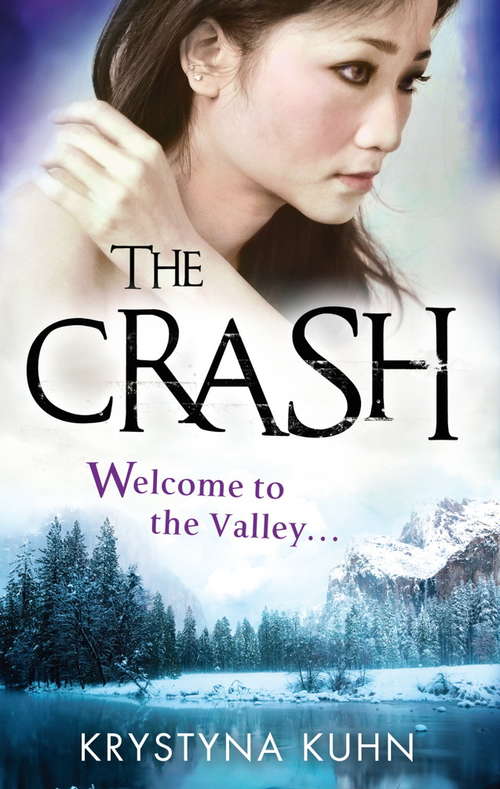 Book cover of The Crash: Number 2 in series