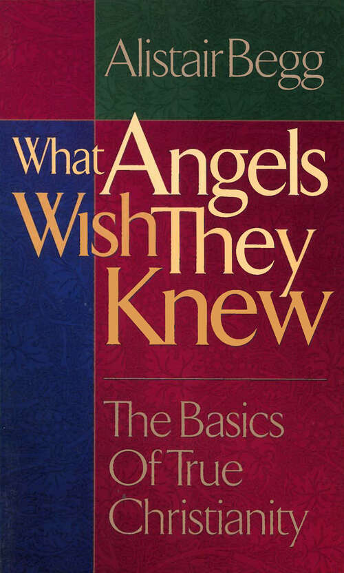 Book cover of What Angels Wish They Knew (New Edition)