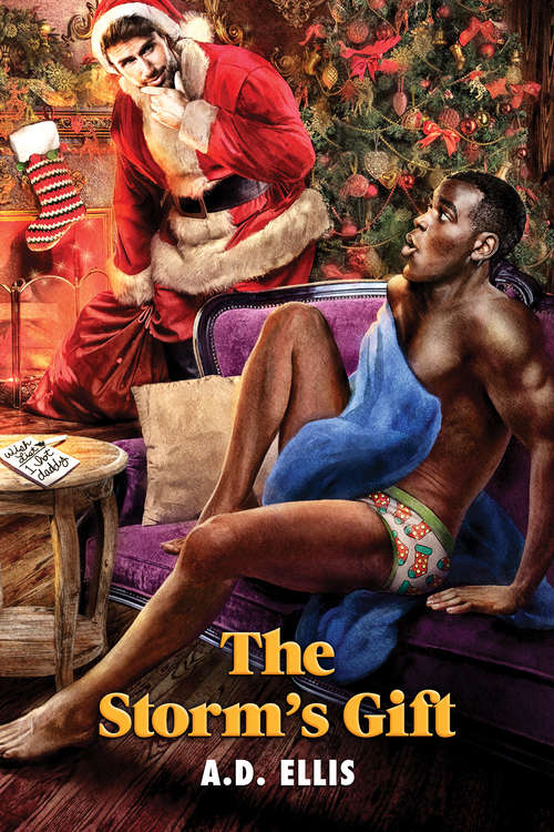 Book cover of The Storm’s Gift (2017 Advent Calendar - Stocking Stuffers)