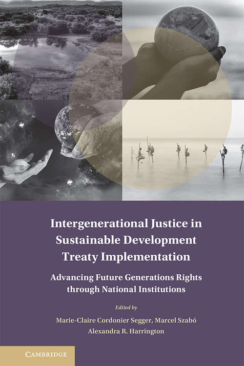 Book cover of Intergenerational Justice in Sustainable Development Treaty Implementation: Advancing Future Generations Rights through National Institutions (Treaty Implementation for Sustainable Development)