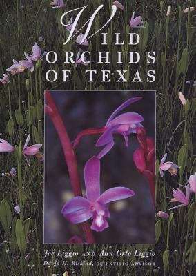 Book cover of Wild Orchids of Texas