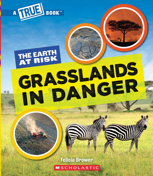 Book cover of Grasslands in Danger (A True Book (Relaunch))