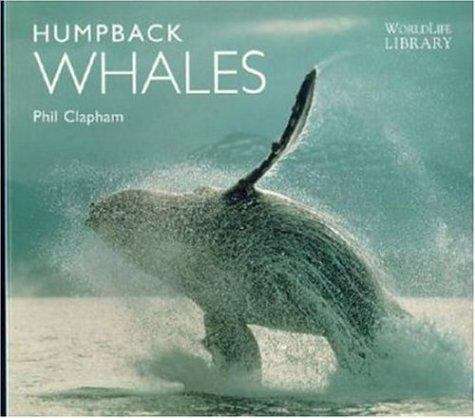 Book cover of Humpback Whales