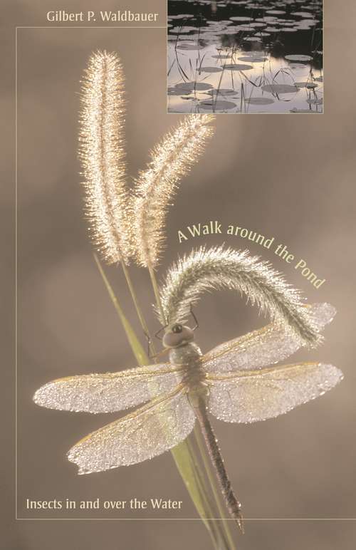 Book cover of A Walk around the Pond: Insects in and over the Water