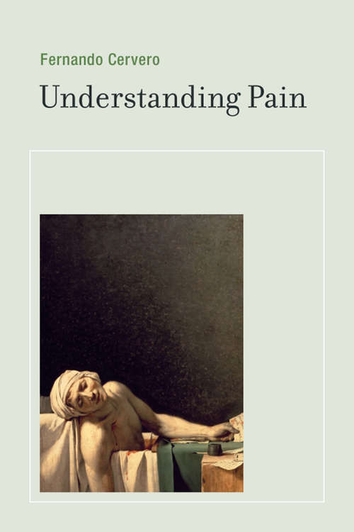 Book cover of Understanding Pain: Exploring the Perception of Pain