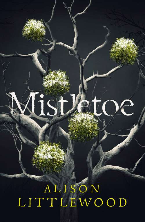 Book cover of Mistletoe: 'The perfect read for frosty nights' HEAT