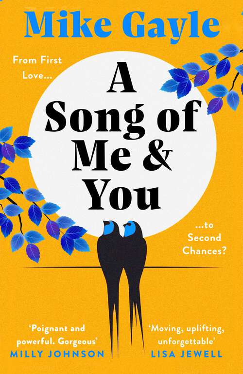 Book cover of A Song of Me and You: everyone knows this rock star's name: only his first love understands his heart