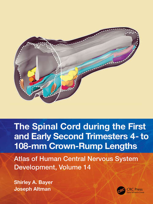 Book cover of The Spinal Cord during the First and Early Second Trimesters 4- to 108-mm Crown-Rump Lengths: Atlas of Human Central Nervous System Development, Volume 14