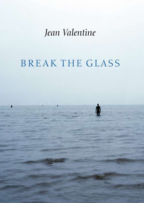 Book cover of Break the Glass